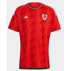 Herren Fußballbekleidung Wales Heimtrikot WM 2022 Kurzarm